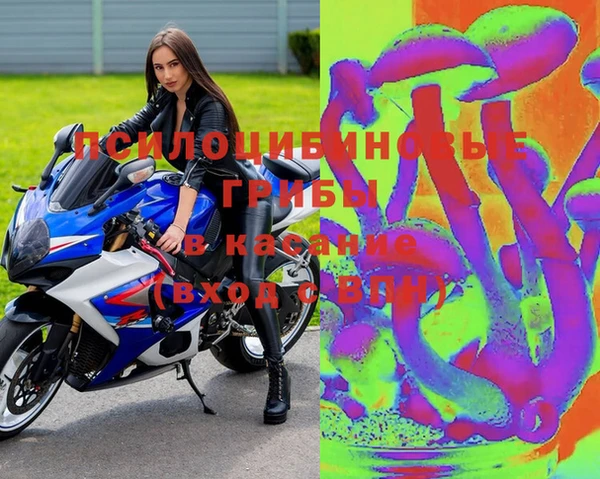 метадон Осташков